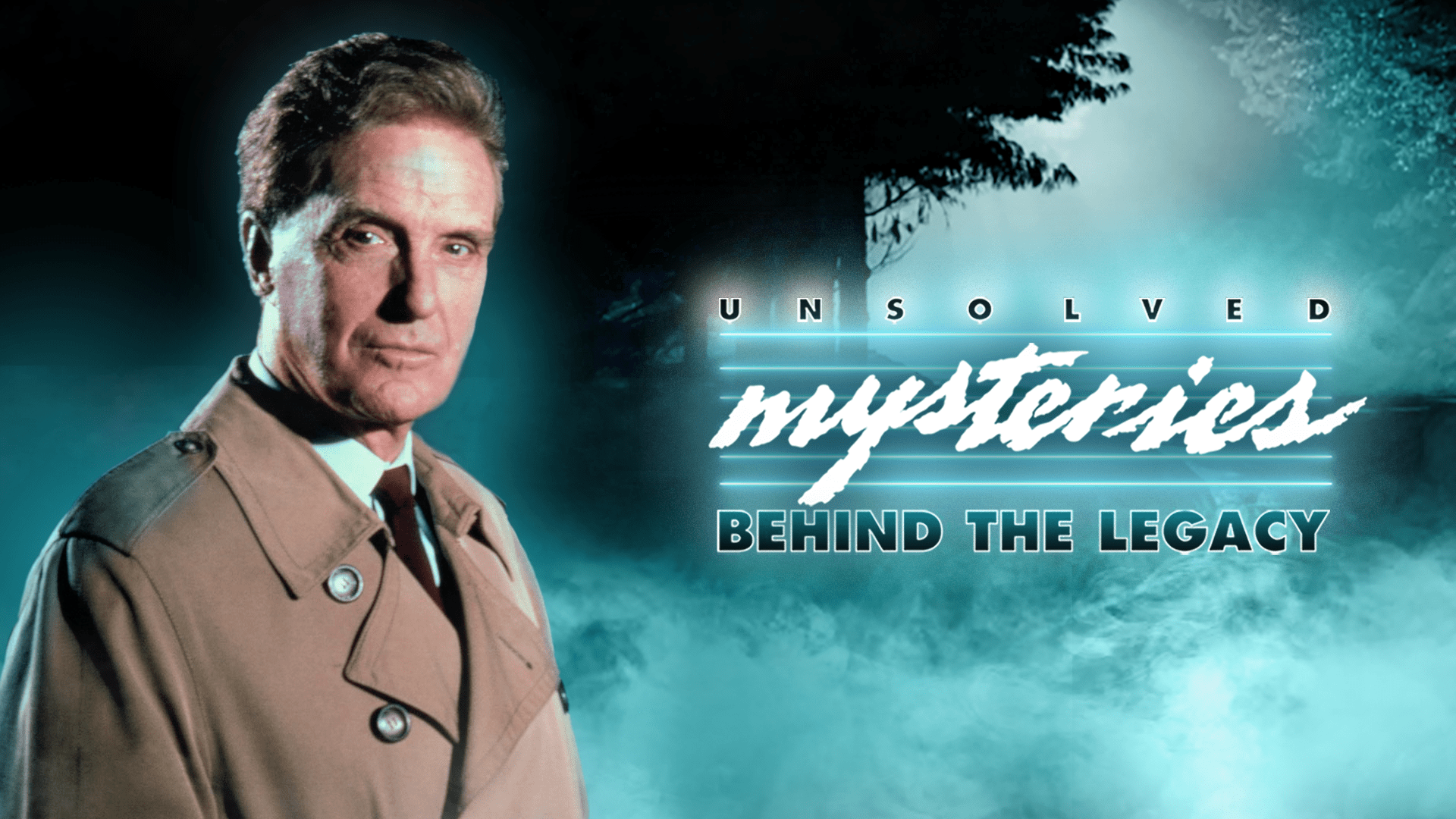 Unsolved Mysteries Success Rate at Sally Seim blog