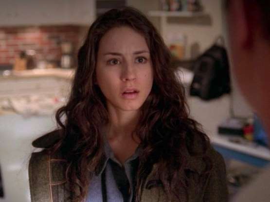10 'NCIS' Guest Stars You Probably About TV Insider
