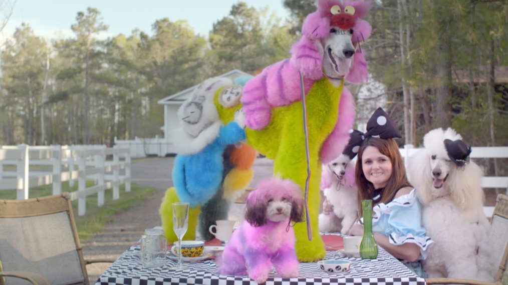 What to Watch If You're Excited About ABC's 'Pooch Perfect'