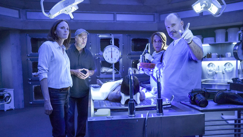 'CSI Vegas,' 'NCIS Hawaii' & More Spinoffs of Your Fave Procedurals