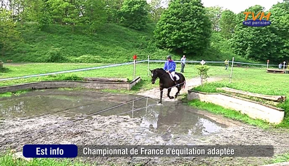 Championnat de France d’équitation Sport Adapté TVM Est Parisien