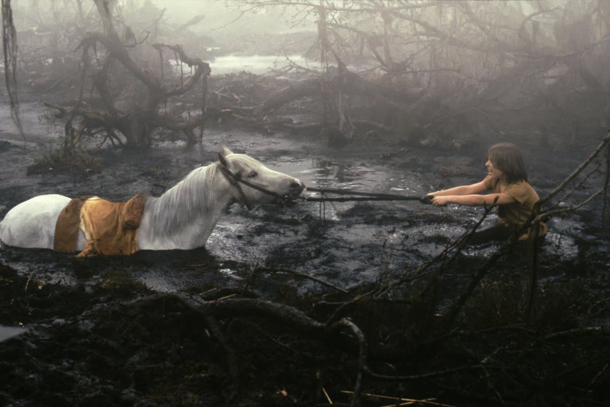 Artax Sinking into The Swamp of Sadness in "The Neverending Story