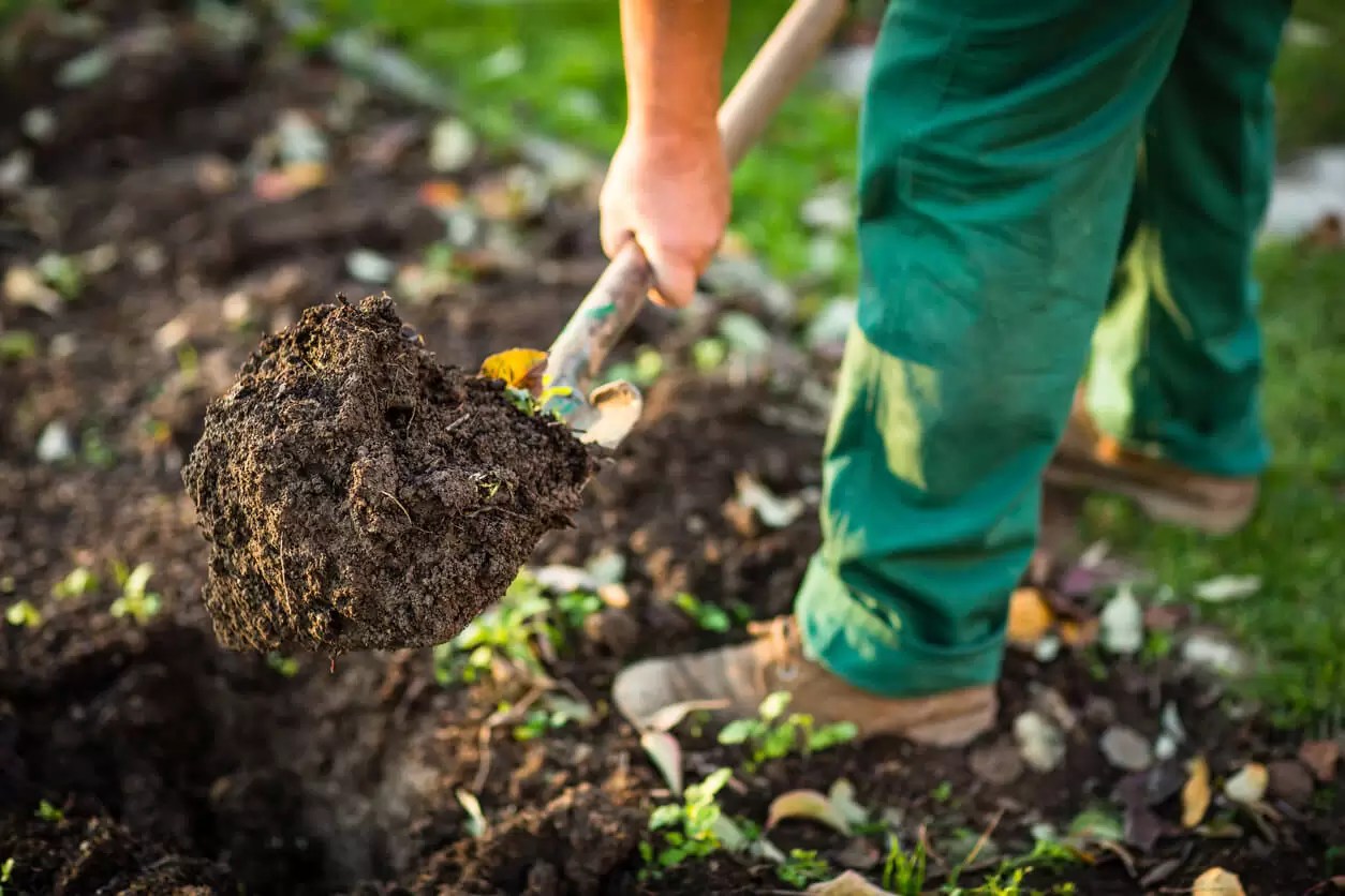 How to Dispose of Soil in the UK TWBC