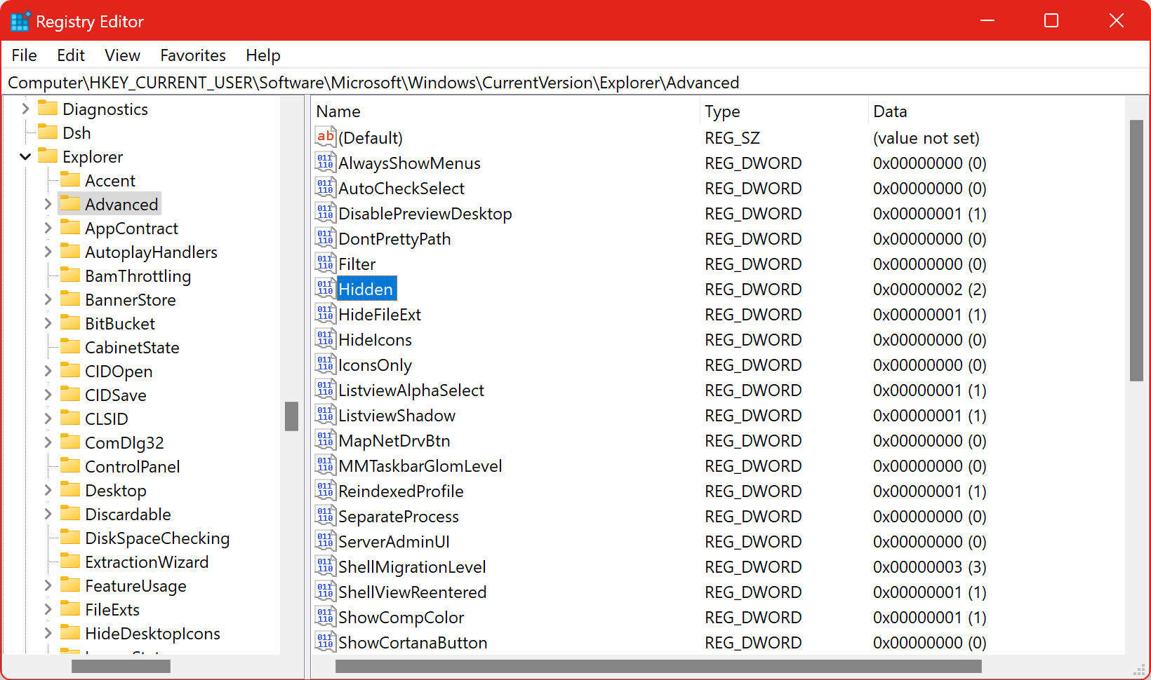 Registry Tweak Show Hidden Files, Folders and Drives in File Explorer
