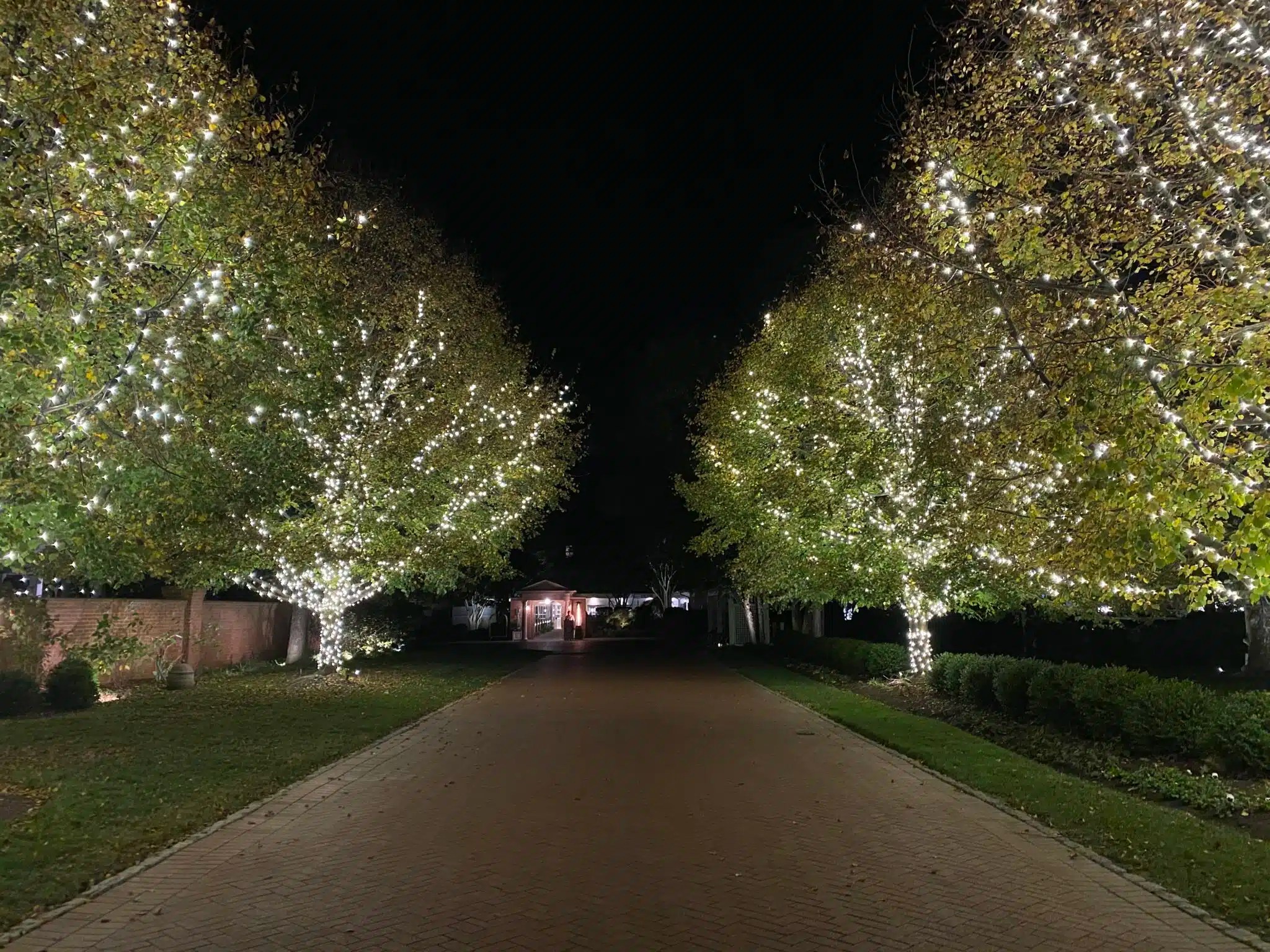 Twelve25 Lighting™ Holiday & Outdoor Lighting Installation