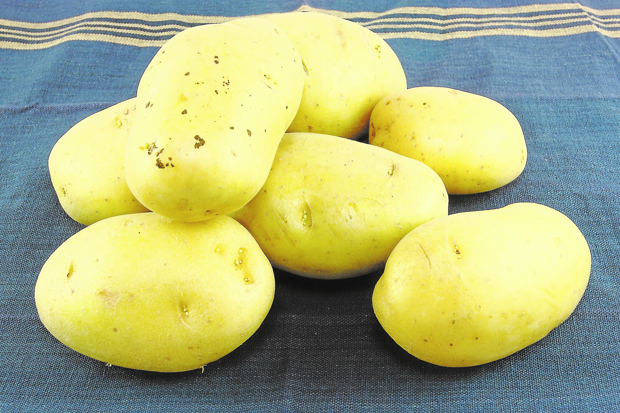 Wolfgang Puck Introducing fave utility players for your holiday table Twin Cities