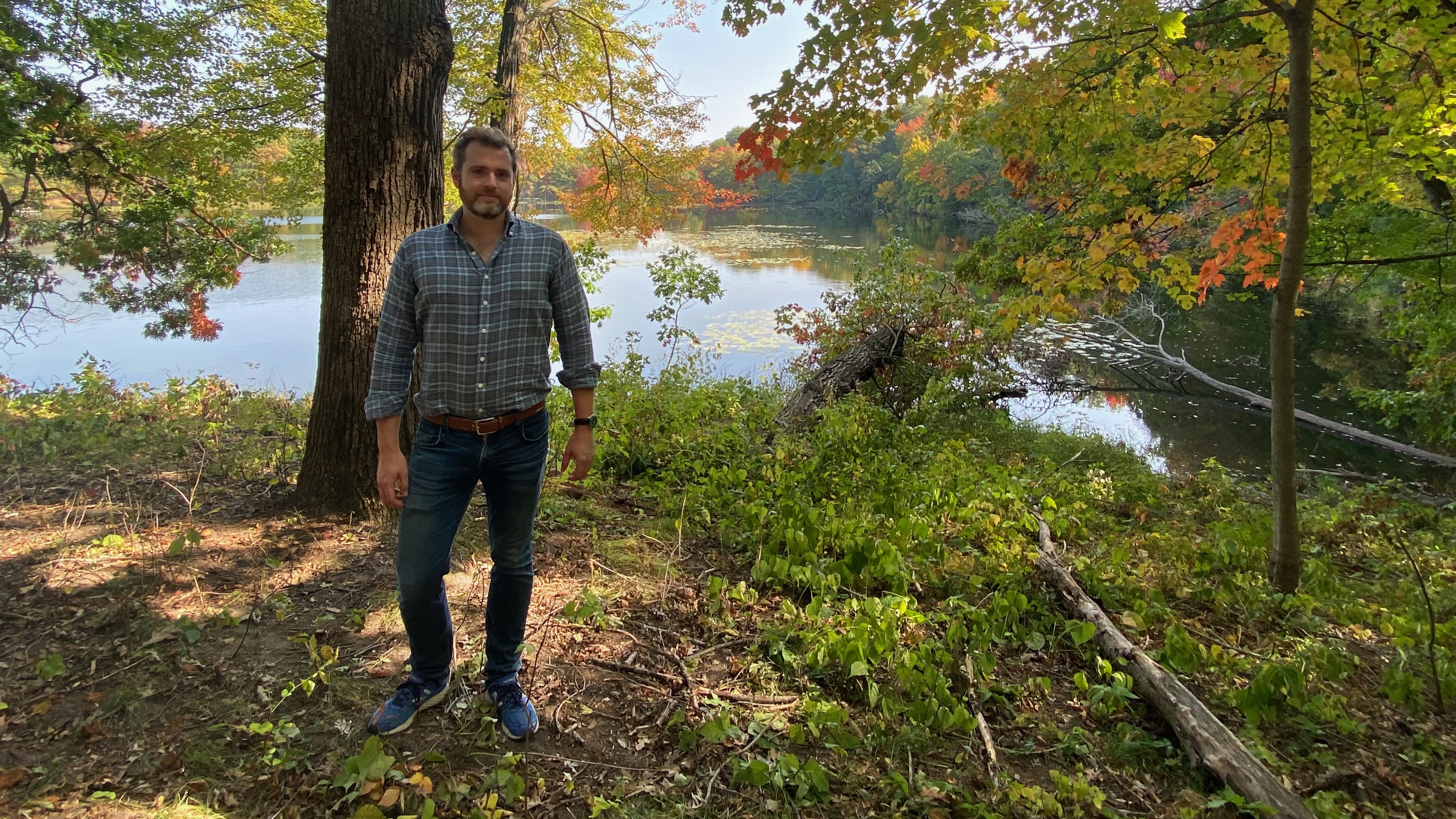 Scandia Better Place Forest will let you scatter ashes under a tree