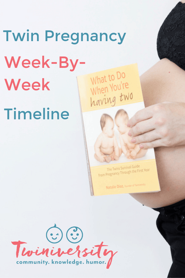 Twin Pregnancy Week By Week Timeline Twiniversity
