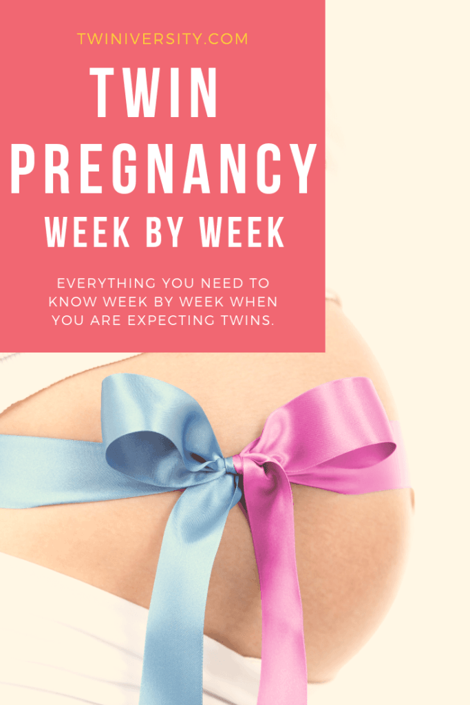Twin Pregnancy Week By Week Timeline Twiniversity