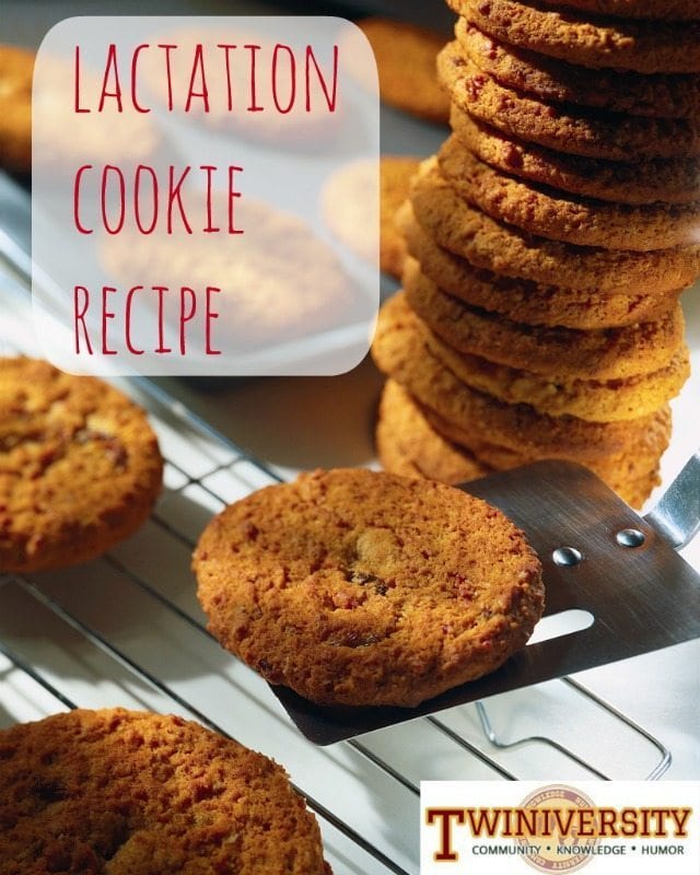 Lactation Cookie Recipe Twiniversity