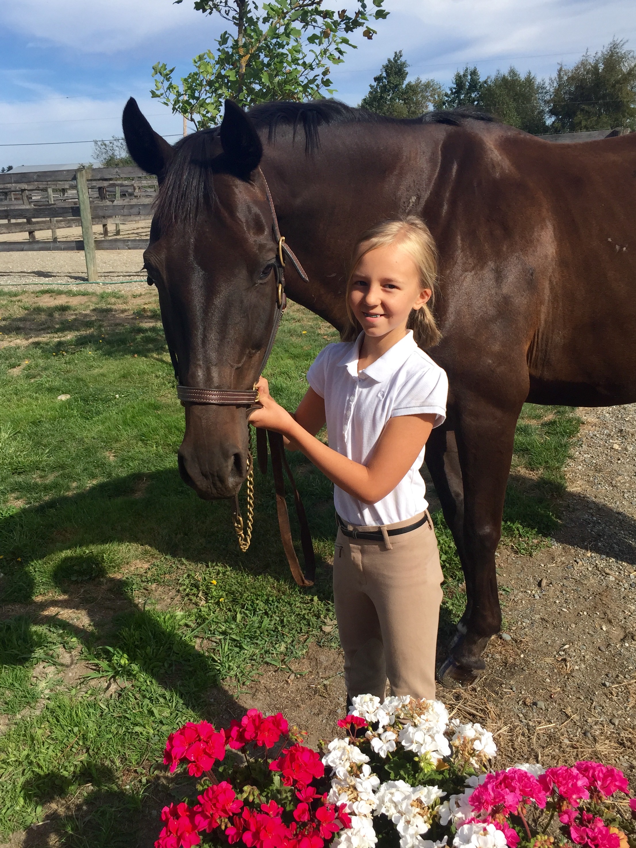 Summer Riding Camp, Pony Camp, Horse Camp Twin Rivers Equestrian Centre