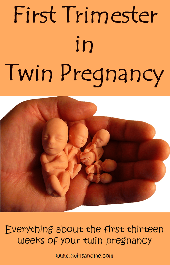 First Trimester of Twin Pregnancy How will it be? Twins and Me
