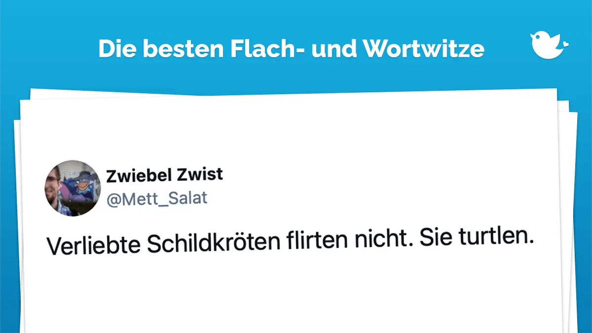 FlachwitzFreitag Die besten Wort und Flachwitze (68) Twitterperlen