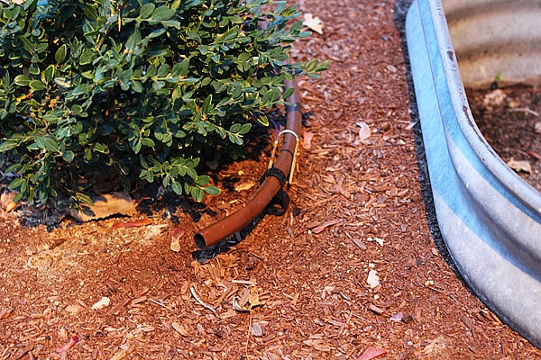 Winterize a drip irrigation system