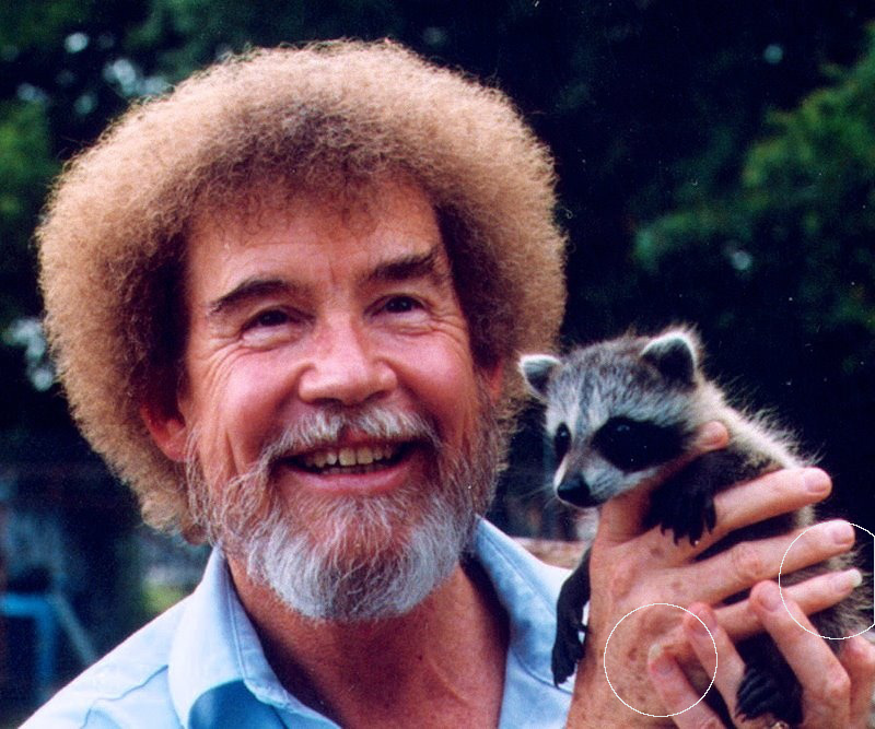 Why Does Bob Ross Have A Coke Nail? TwoInchBrush