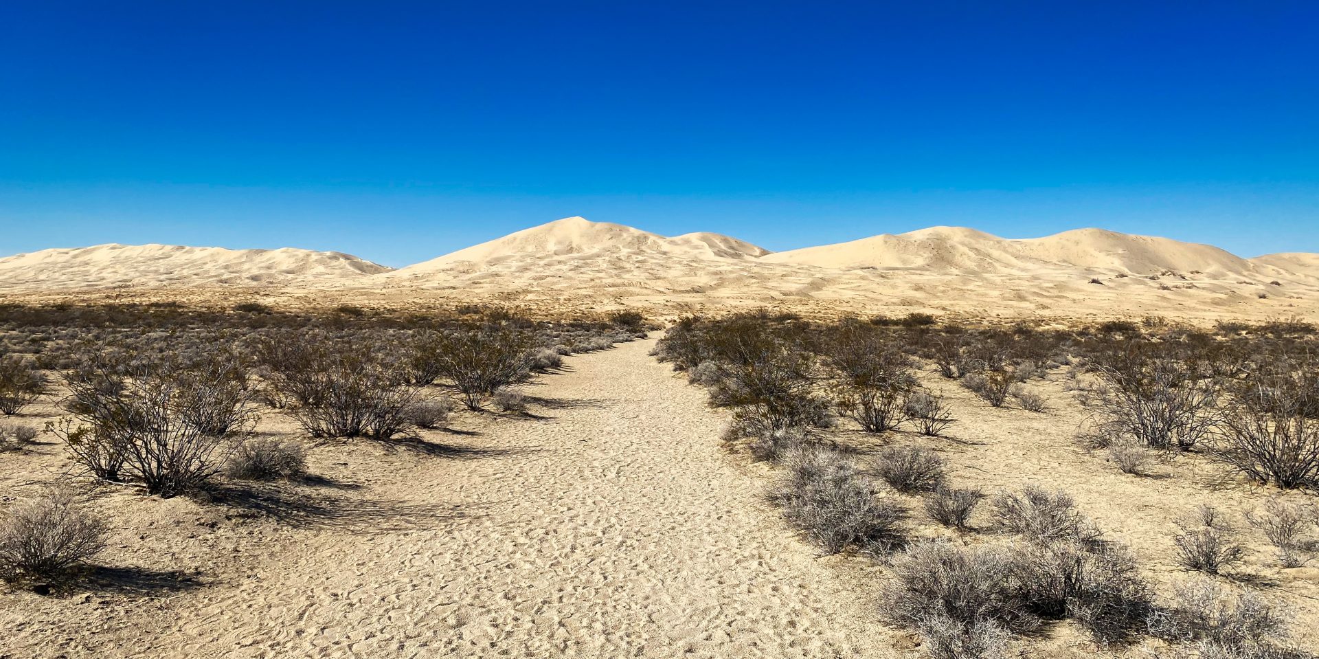 Desierto de Mojave