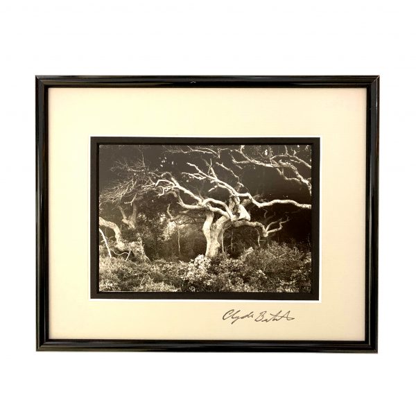 Photo Prints by Clyde Butcher Two Streets Estates