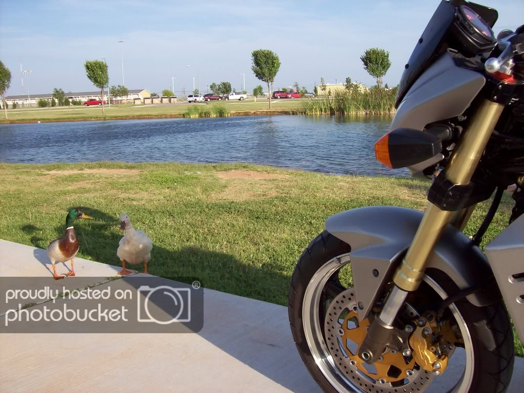 Beal Park in Midland Two Wheeled Texans