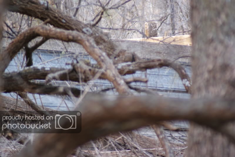 Whiteflat, TX Two Wheeled Texans