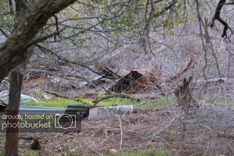 Whiteflat, TX Two Wheeled Texans
