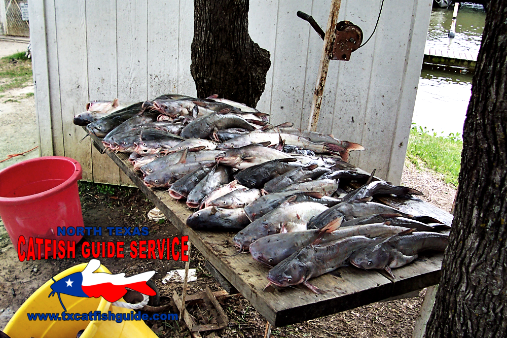 North Texas Catfish Guide Service Photos