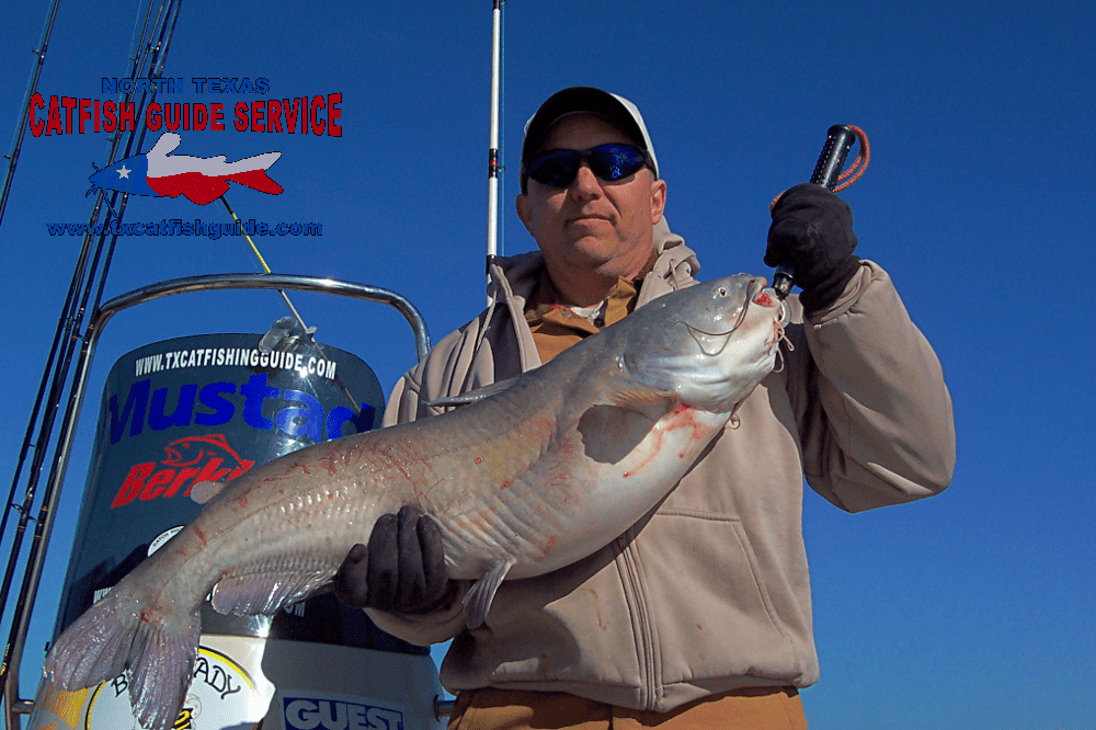 Trophy Blue Catfish North Texas Catfish Guide Service Fishing Charter
