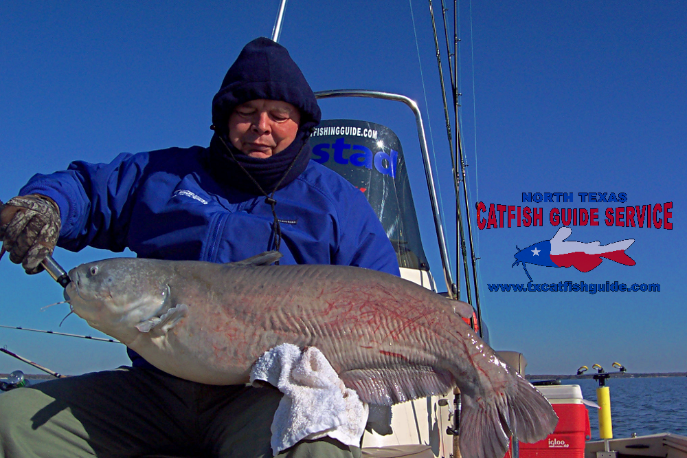 Trophy Blue Catfish North Texas Catfish Guide Service Fishing Charter