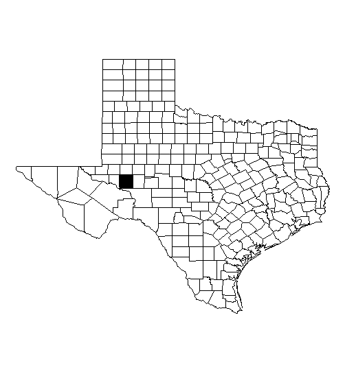 Upton Co. TXGen Resources