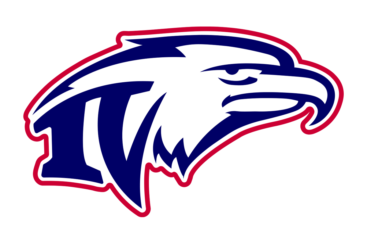 Dallas Inspired Vision Eagles Texas HS Logo Project