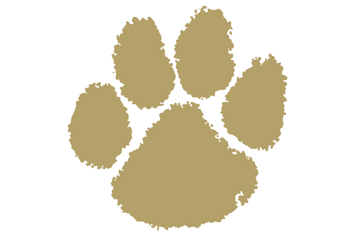 Fabens Wildcats Texas HS Logo Project