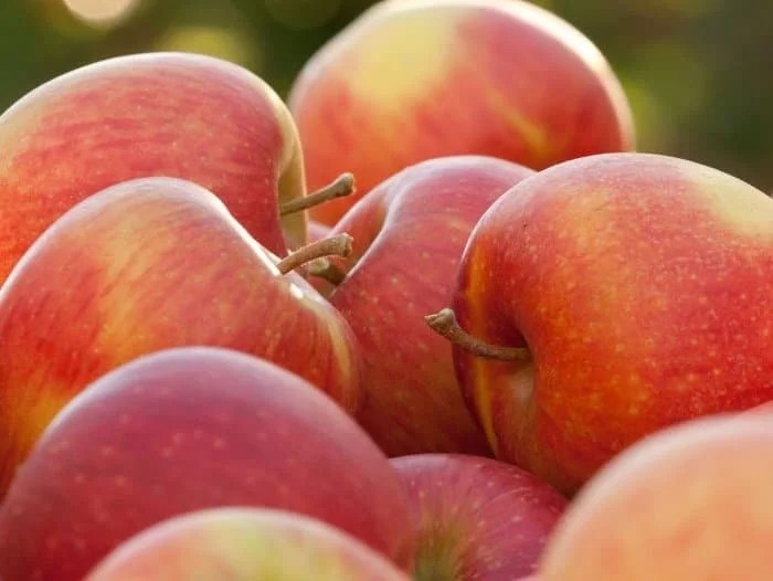 53 Different Types of Apple Varieties You Need To Know Types of All