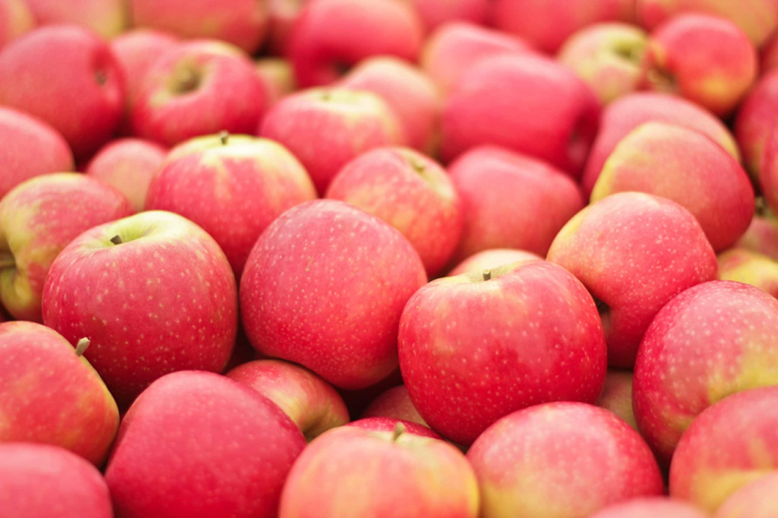 53 Different Types of Apple Varieties You Need To Know Types of All