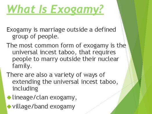 27 Different Types of Marriage From Around The World Types of All