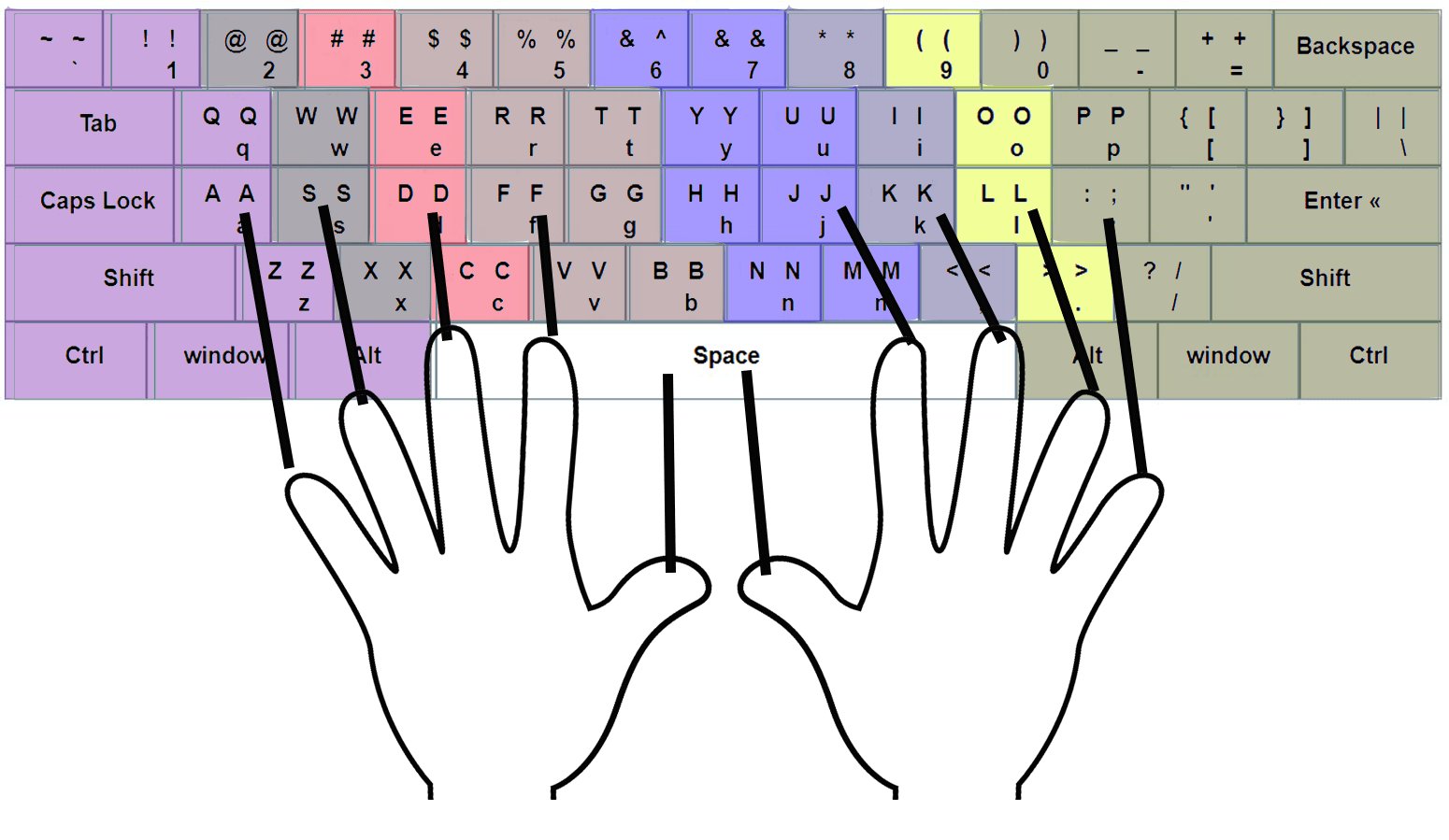 Free Dutch Typing Master Typing Point