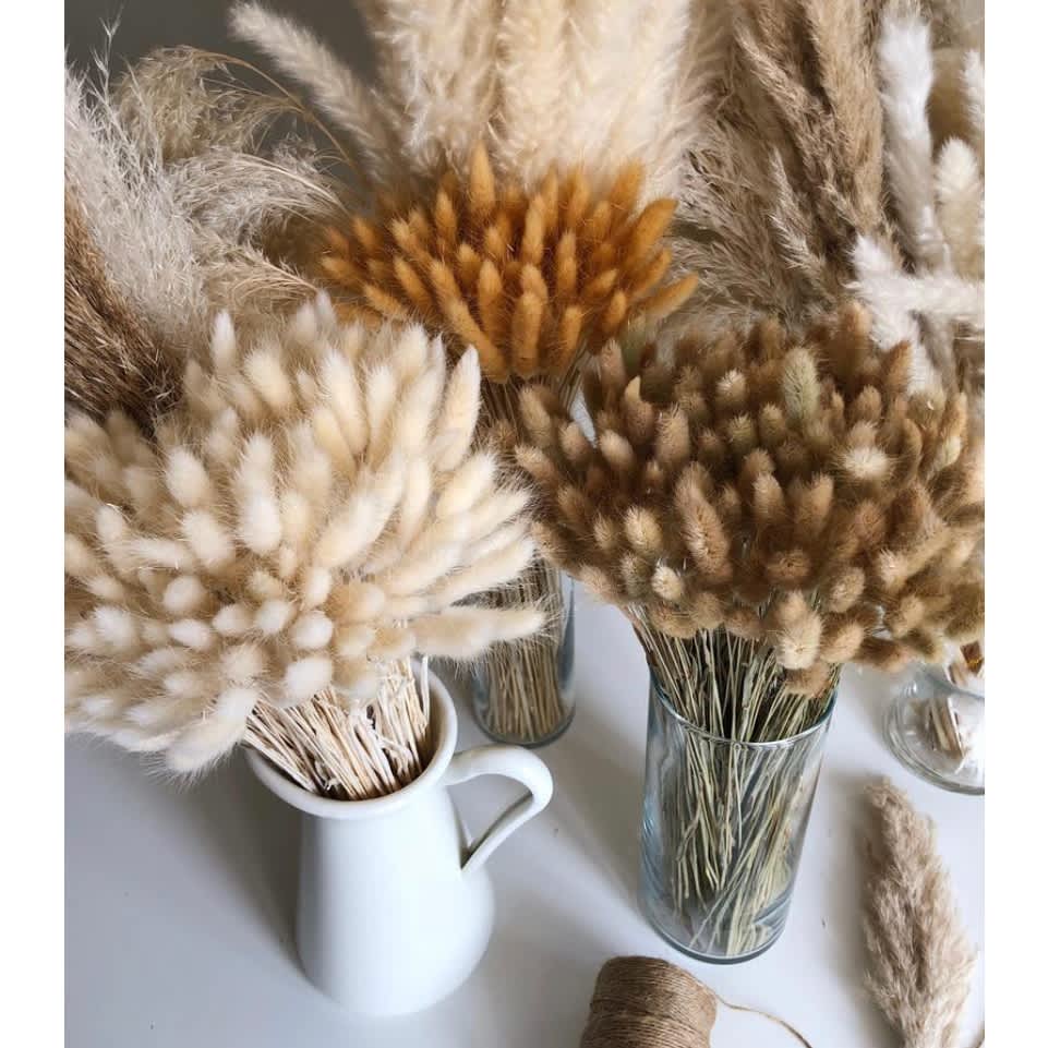 Dried Bunny Tails, Natural Typo Market