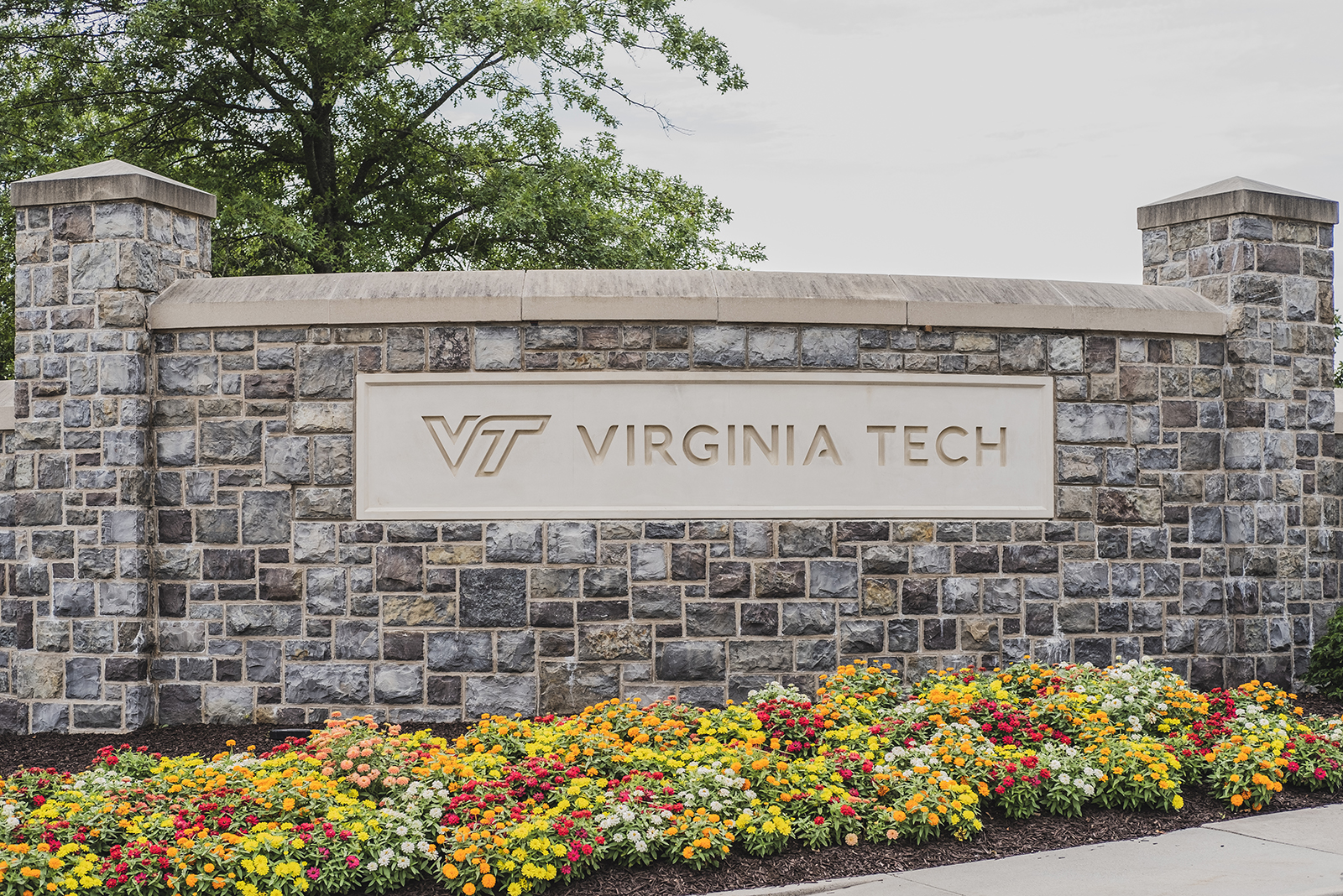 Virginia Tech Online IT Master's Degree Named Nation's Best for
