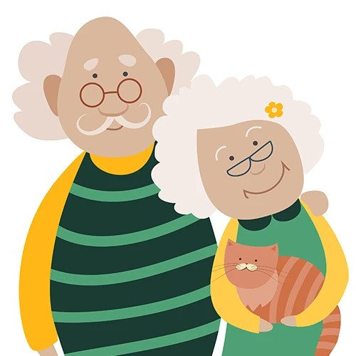 Services Upper Arkansas Area Council of Governments