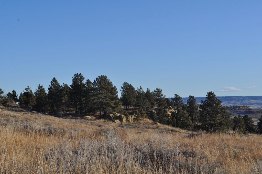 Investment land North of Billings U Bar S Real Estate