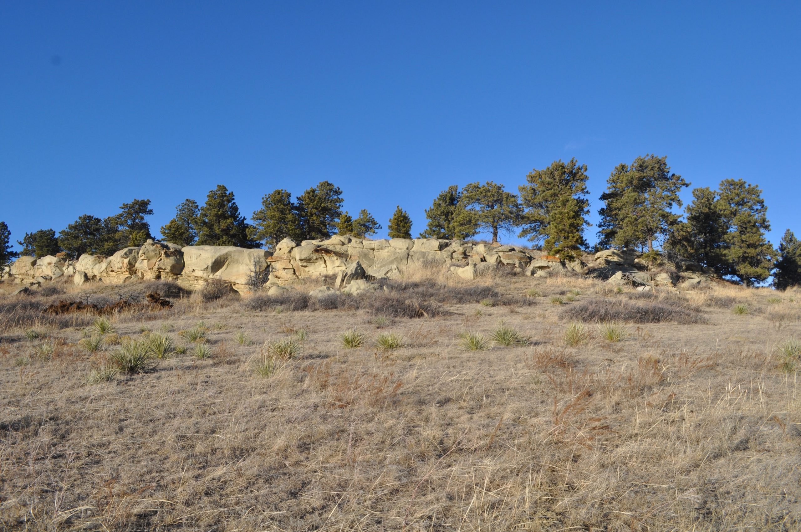 Investment land North of Billings U Bar S Real Estate