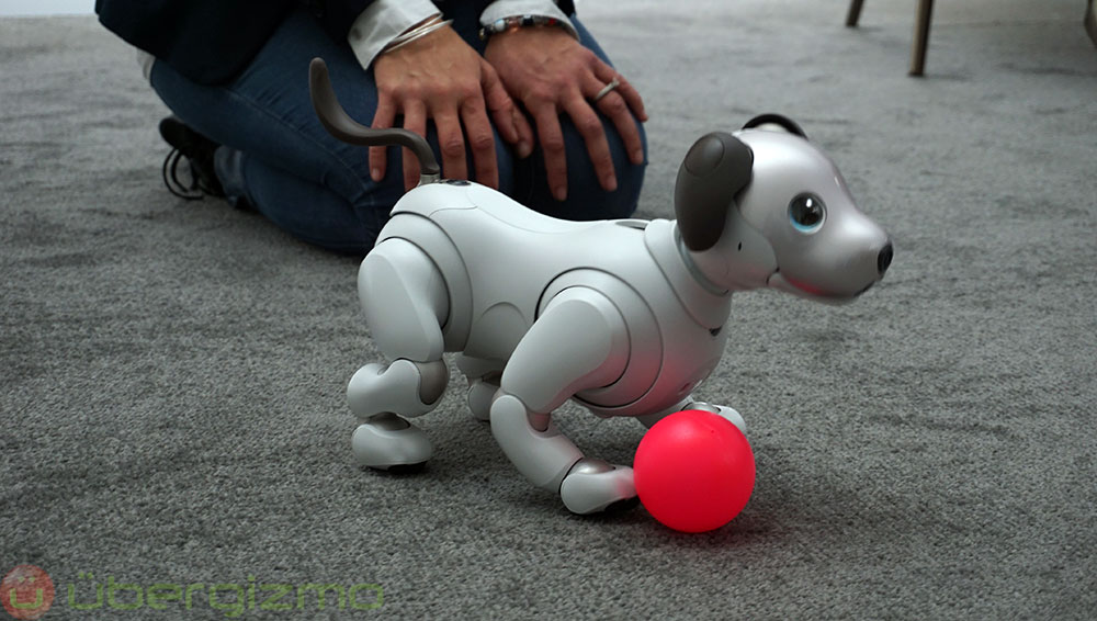 aibo robot köpek