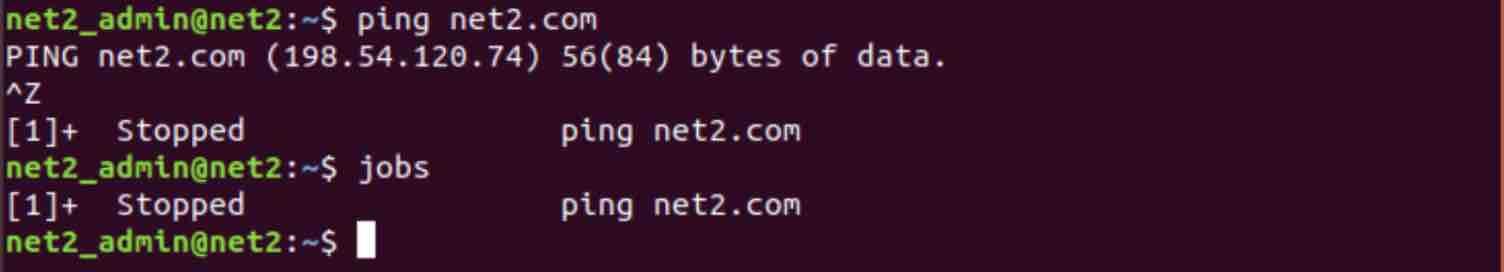 Linux Processes: A Beginner’s Guide To Understanding &Amp; Management 8 Jobs command output - stopped ping process
