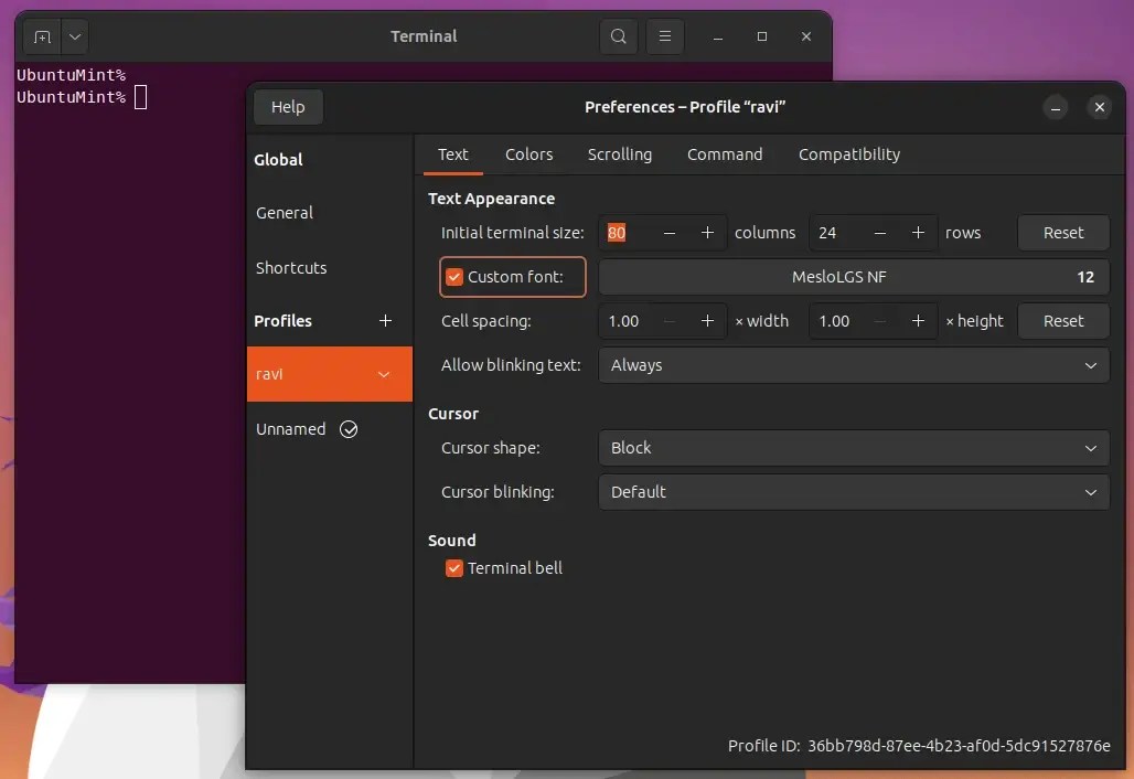 How to Setup Zsh + Oh My Zsh + Powerlevel10k in Ubuntu