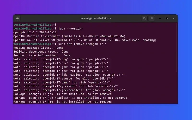 How to Completely Uninstall Java on Ubuntu