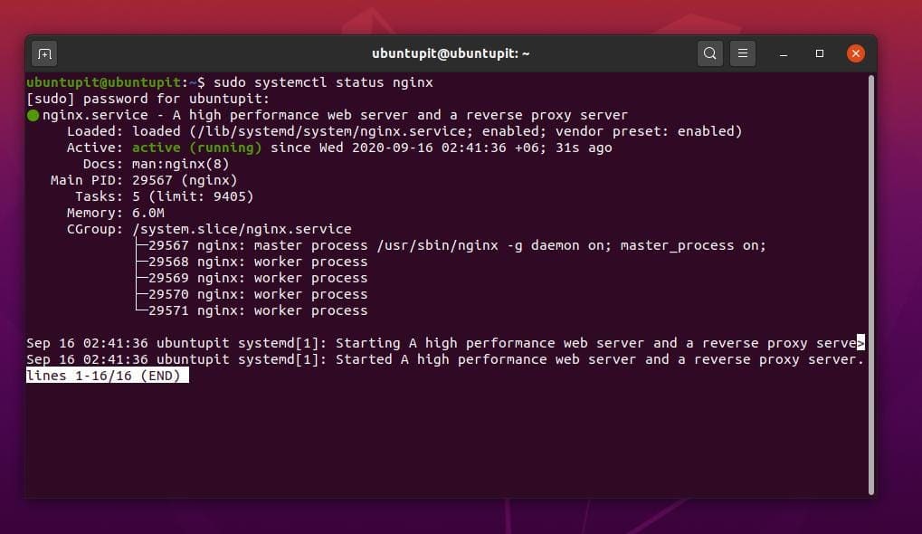 How to Install Nginx Web Server on Ubuntu Linux A