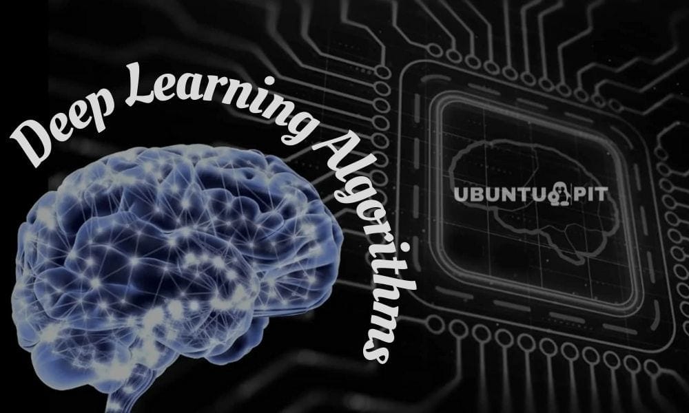 Top 10 Deep Learning Algorithms That Every AI Enthusiast Should Know