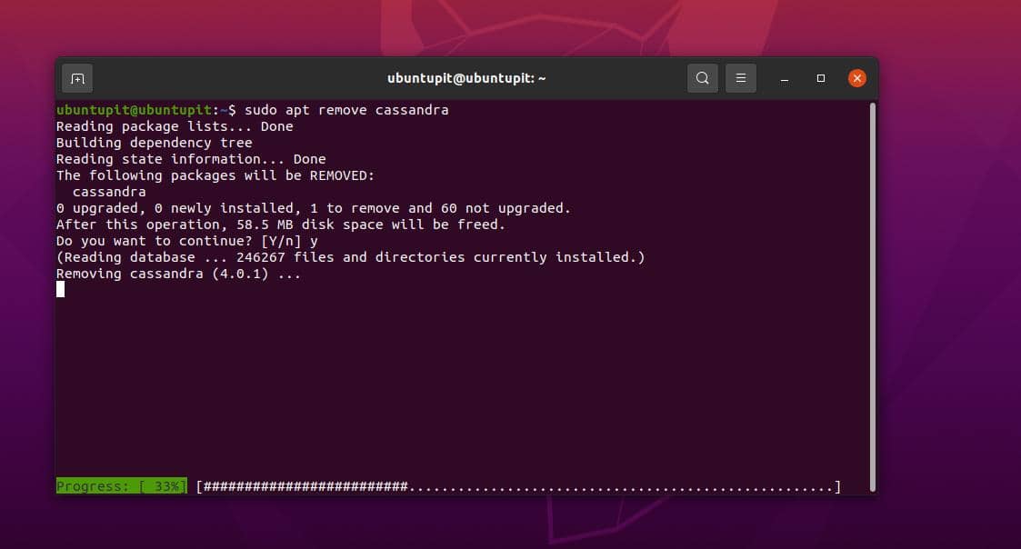 Sudo apt get commands duckpolre