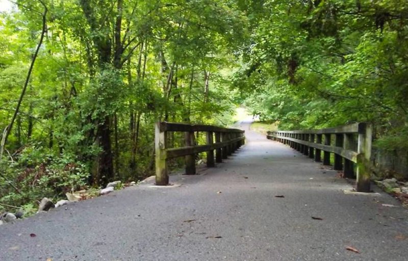 Cookeville receives 450,000 for Cane Creek Park improvements UCBJ