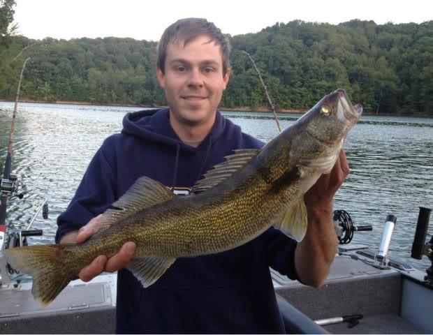 Tdec Issues Fish Consumption Advisory On Dale Hollow Reservoir | Ucbj - Upper Cumberland Business Journal