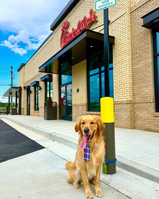 ChickfilA Crossville restaurant to open Sept. 1 UCBJ Upper