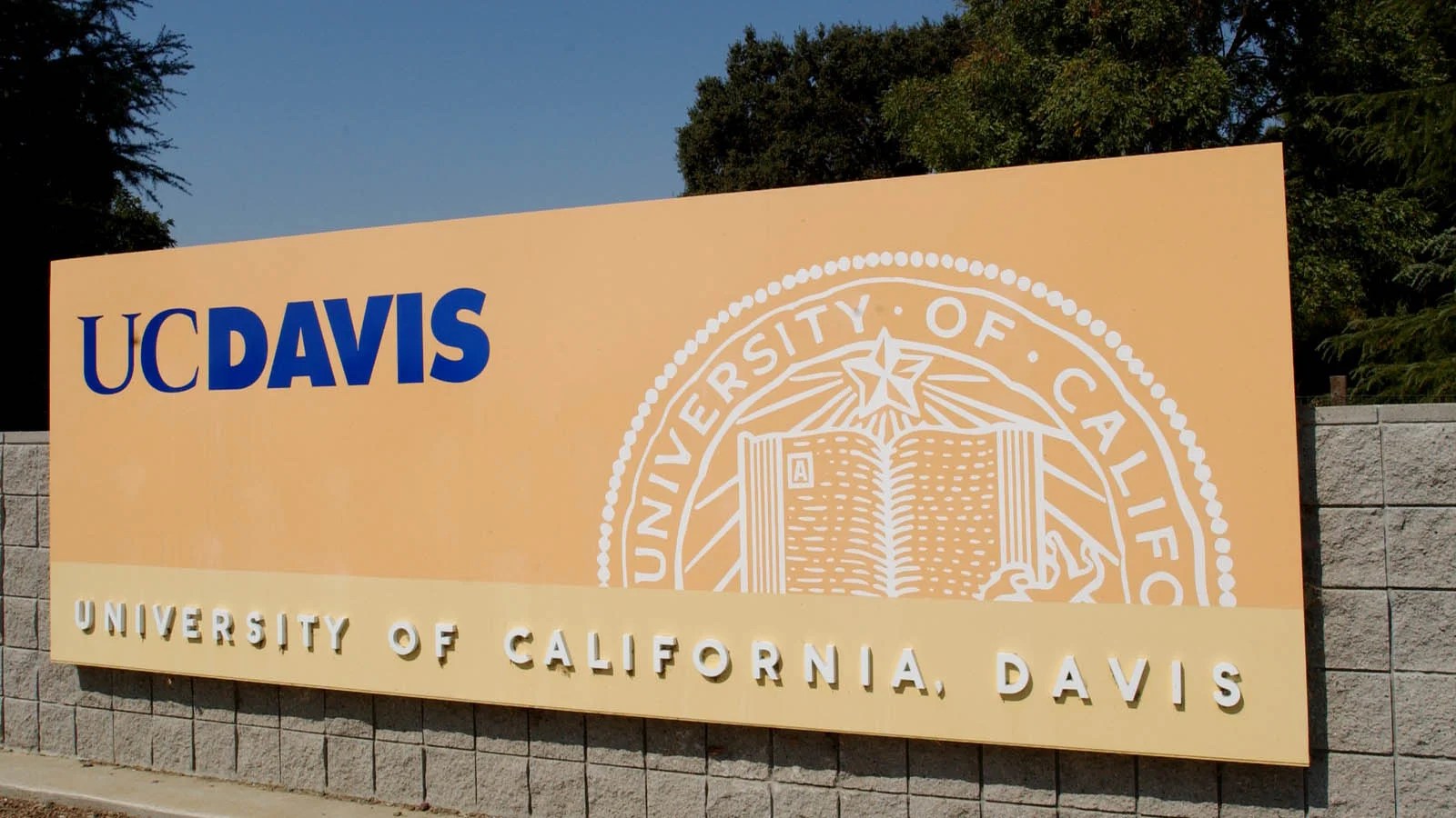 UC Davis Chancellor Convenes Task Forces on Important Campus Services